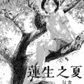 莲生之夏 莲生之夏