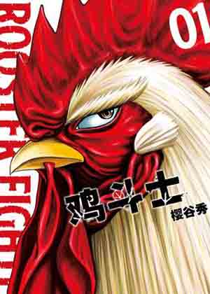 鸡斗士 鸡斗士